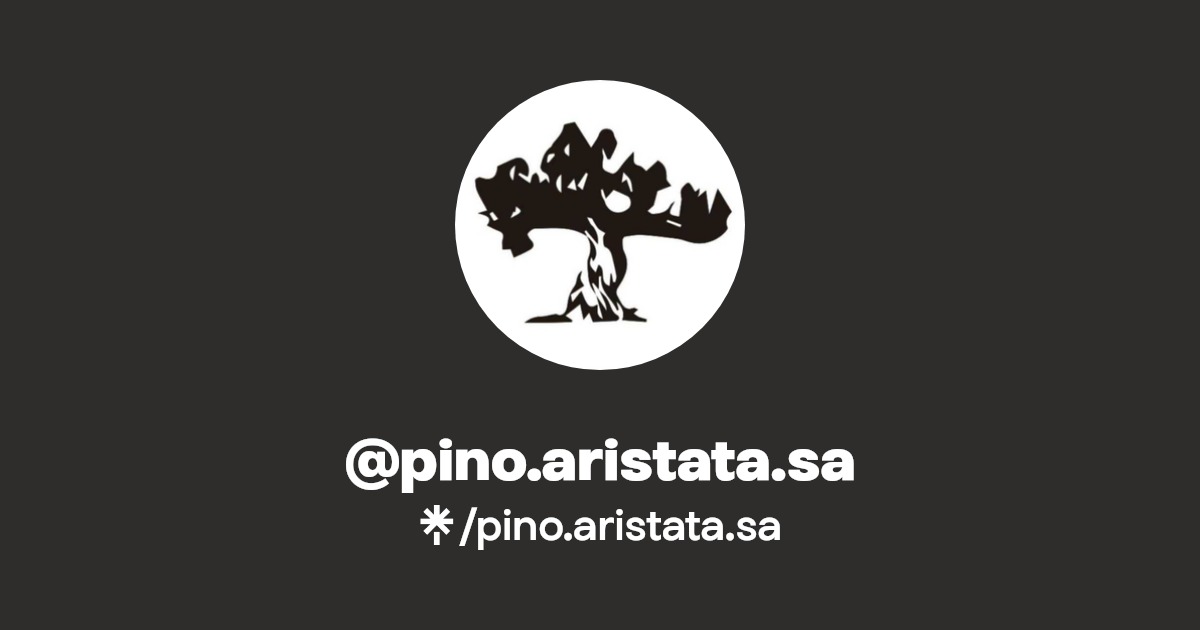 pino.aristata.sa
